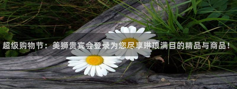 彩虹多多彩虹多多