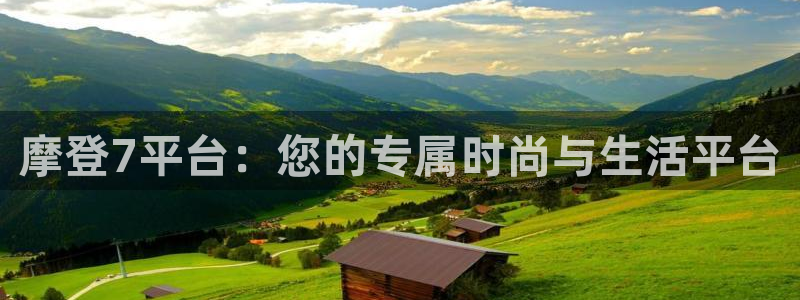 彩虹多多和牛票多多那个好用