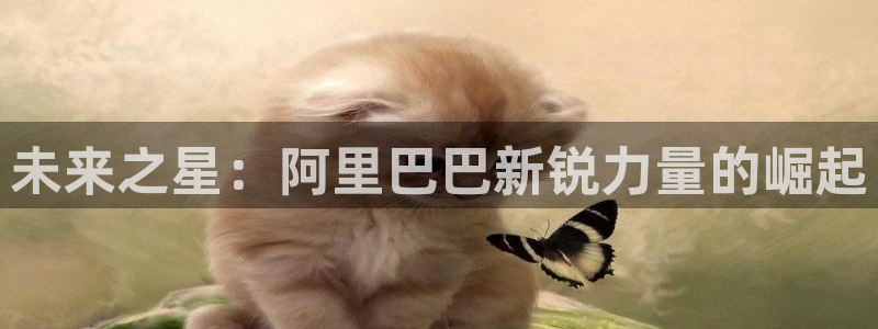 彩虹多多app最新版本