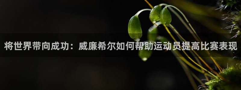 彩虹多多698免费版