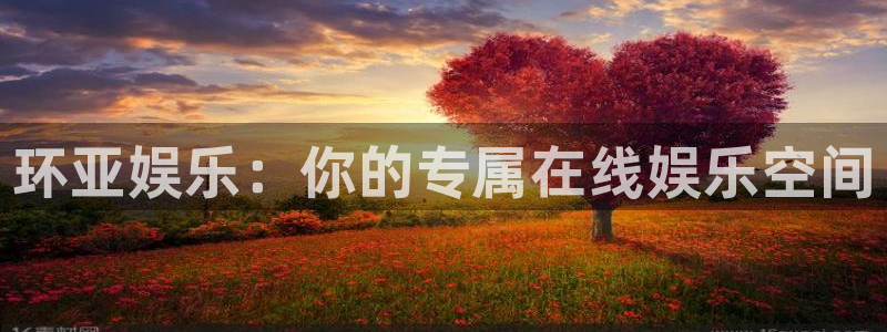 旧版彩虹多多