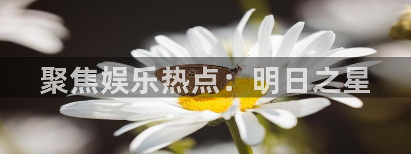 彩虹多多专享版app下载