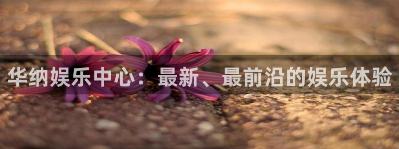 彩虹多多正版安装方法