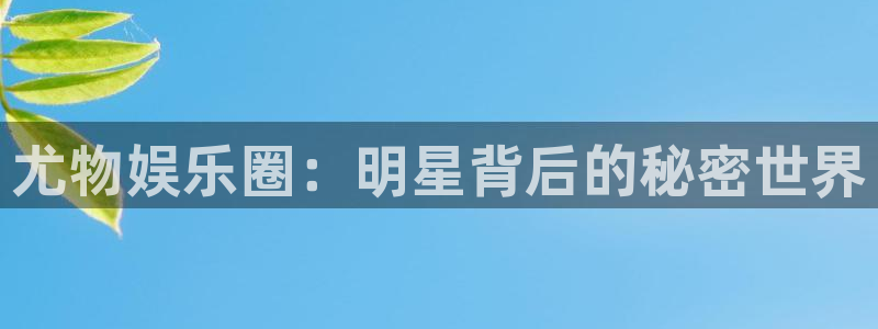 彩虹多多安卓版