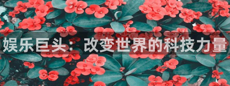彩虹多多官方免费下载