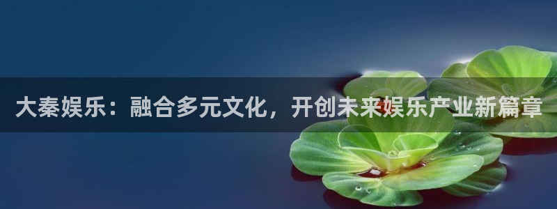 彩虹多多软件安全吗