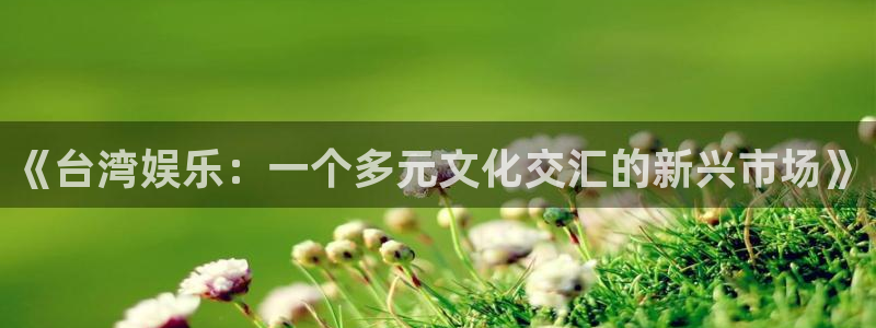彩虹多多安卓