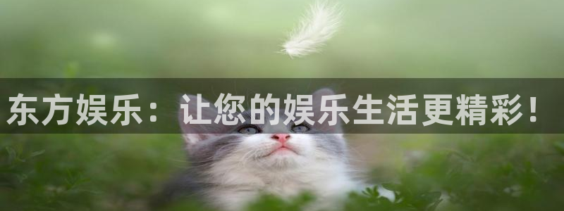 旧版彩虹多多：东方娱乐：让您的娱乐生活更精彩！