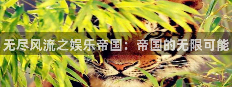 彩虹多多下载苹果手机版：无尽风流之娱乐帝国：帝国的无限可能