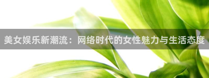 给我下载一个彩虹多多：美女娱乐新潮流：网络时代的女性魅力与生活态度