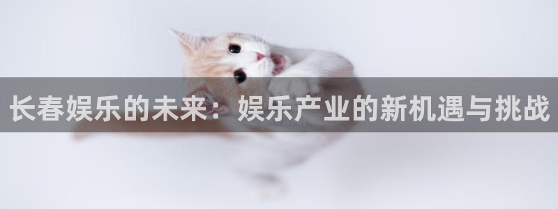 最新彩虹多多app下载：长春娱乐的未来：娱乐产业的新机遇与挑战