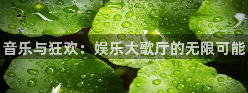 彩虹多多最新版下载：音乐与狂欢：娱乐大歌厅的无限可能