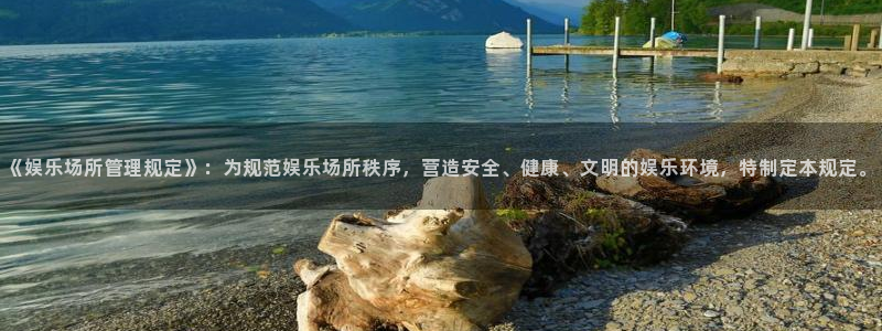 彩虹多多下载苹果手机版：《娱乐场所管理规定》：为规范娱乐场所秩序，营造安全、健康、文明的娱乐环境，特制定本规定。
