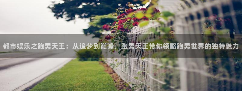 彩虹多多proapp下载：都市娱乐之跑男天王：从追梦到巅峰，跑男天王带你领略跑男世界的独特魅力
