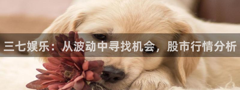 彩虹多多下载链接：三七娱乐：从波动中寻找机会，股市行情分析