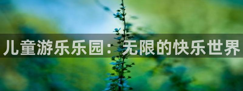 彩虹多多app旧版：儿童游乐乐园：无限的快乐世界