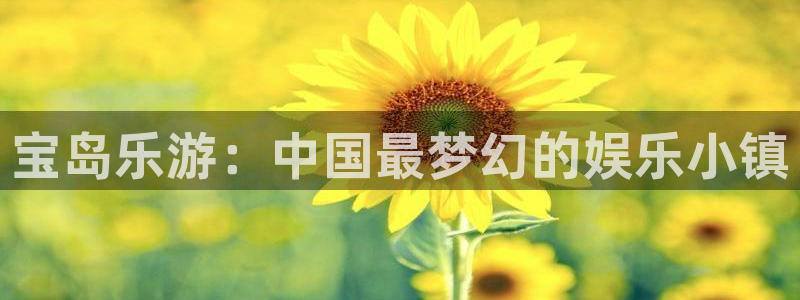 彩虹多多3d正版app：宝岛乐游：中国最梦幻的娱乐小镇